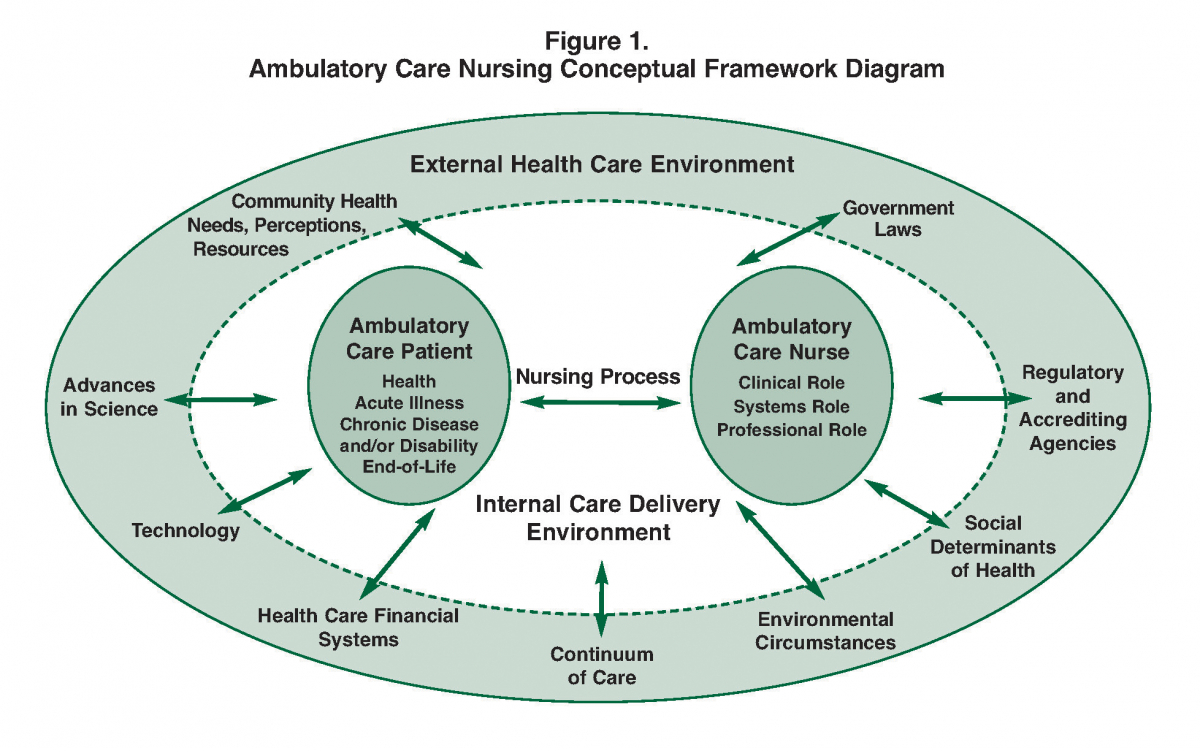 what is conceptual framework in nursing research